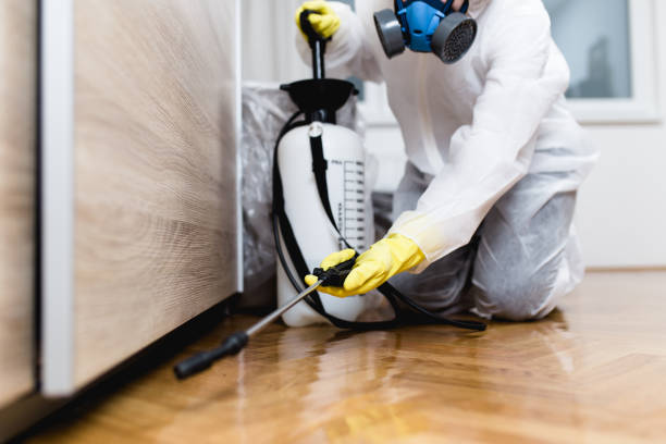 Best Pest Control Treatment  in Payson, UT