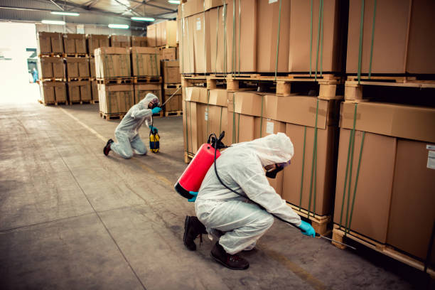 Best Pest Control Near Me  in Payson, UT