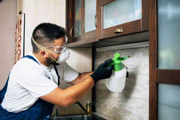 Best Cockroach Control Services  in Payson, UT