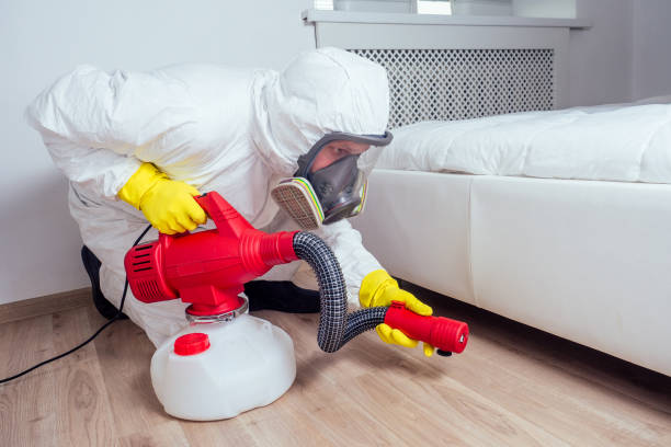 Best Wasp Removal Services  in Payson, UT