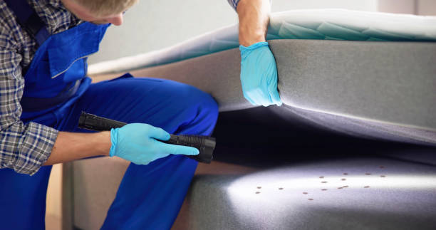Best Cockroach Control Services  in Payson, UT