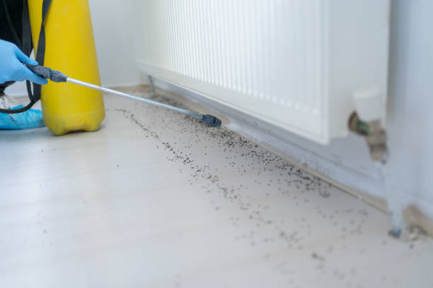 Best Commercial Pest Control Services  in Payson, UT