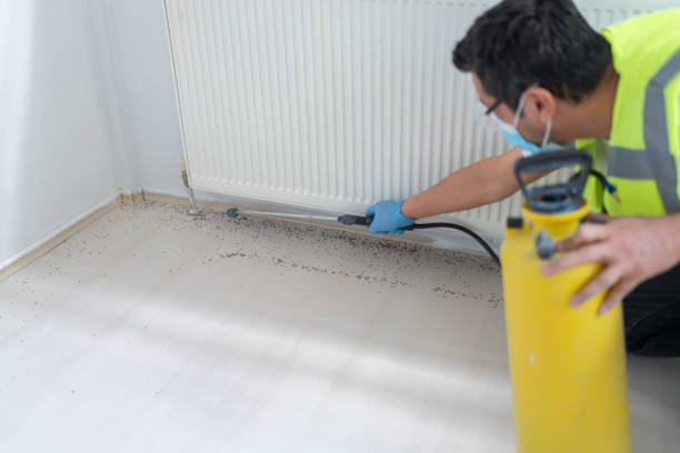 Best Pest Removal Services  in Payson, UT