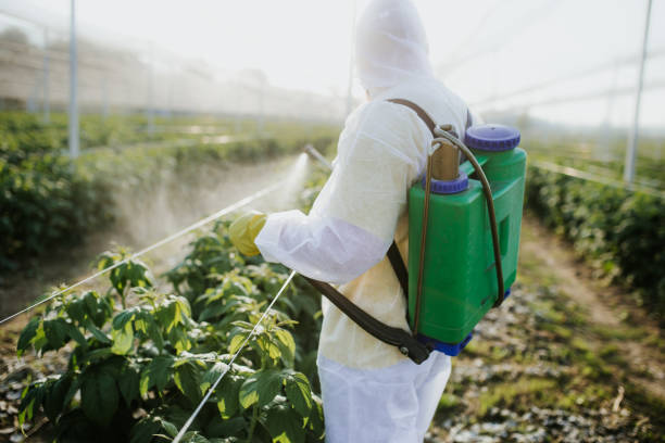 Best Emergency Pest Control  in Payson, UT